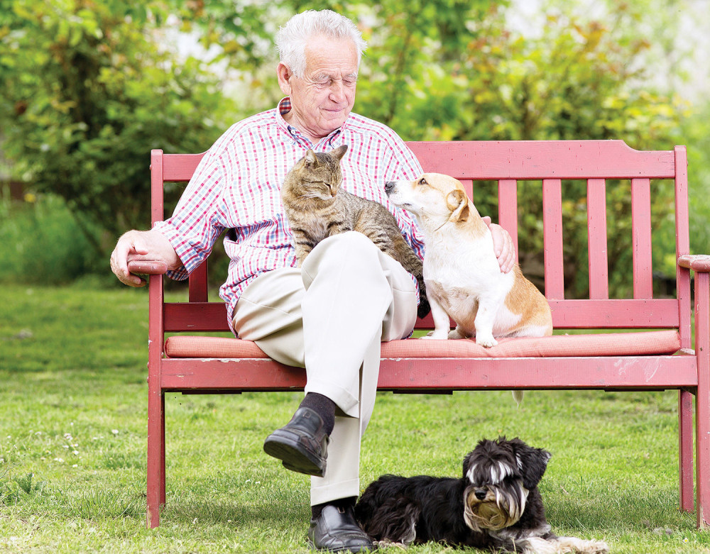 Vlasnici pasa imaju manje šanse da obole od ove bolesti