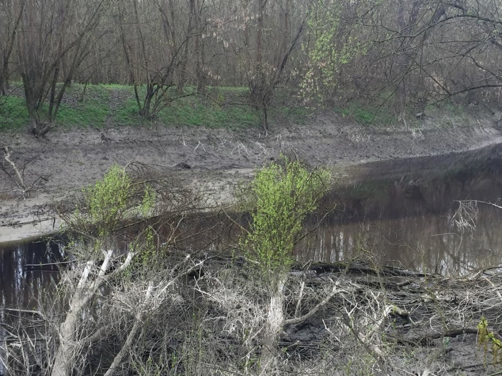 Ubila se zbog zdravstvenih problema