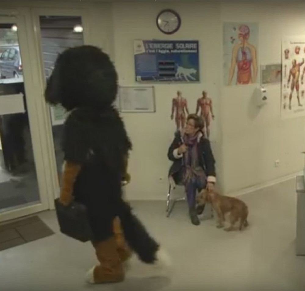 Spasao život psu snimajući duhovit video (VIDEO)