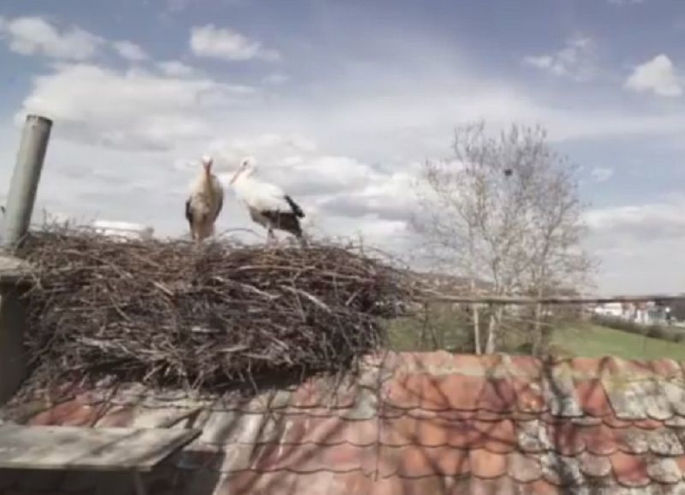 Malena šokirala Klepetana!