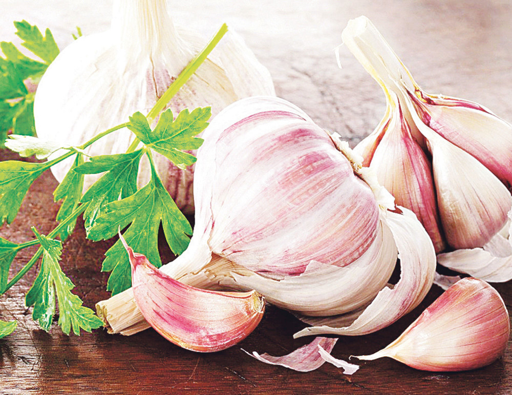Ne bacajte ljusku, zdravija je od jezgra belog luka!