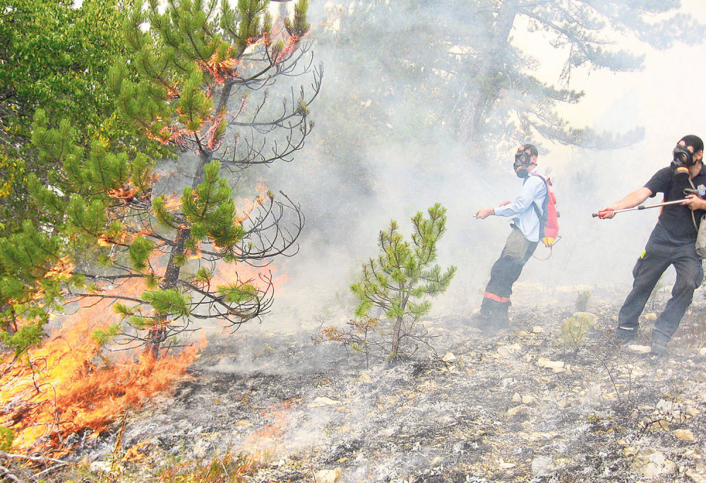 Zapalio kolibu i šumu kraj jezera