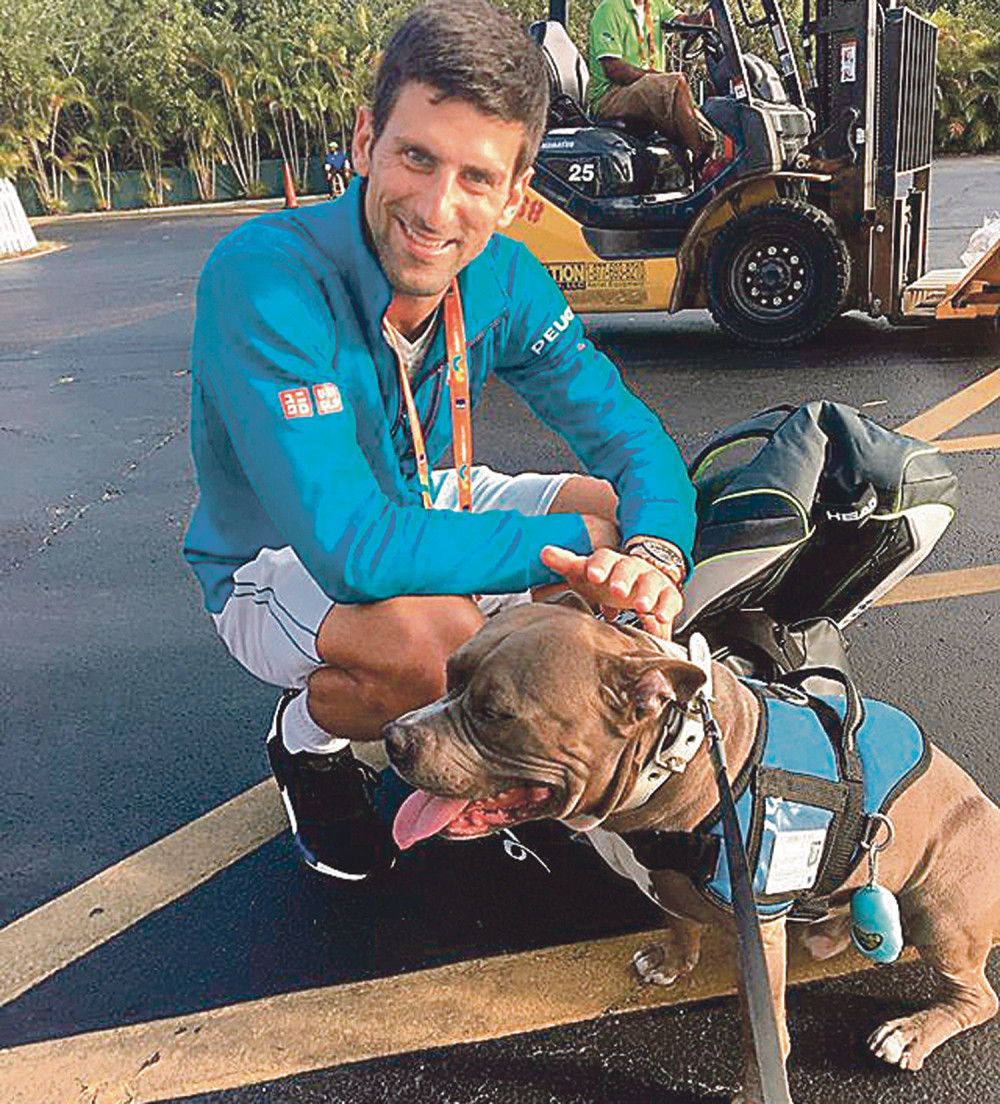 Nole našao novog drugara