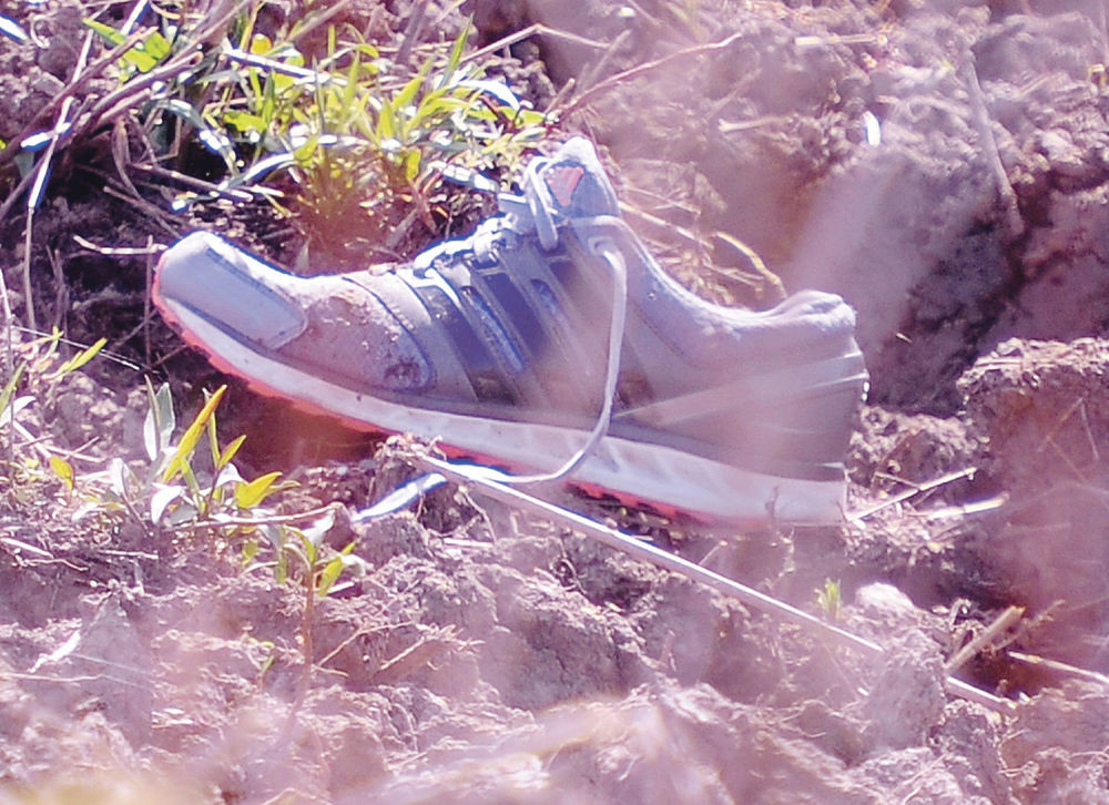 Ubica se javio na Jelenin telefon?