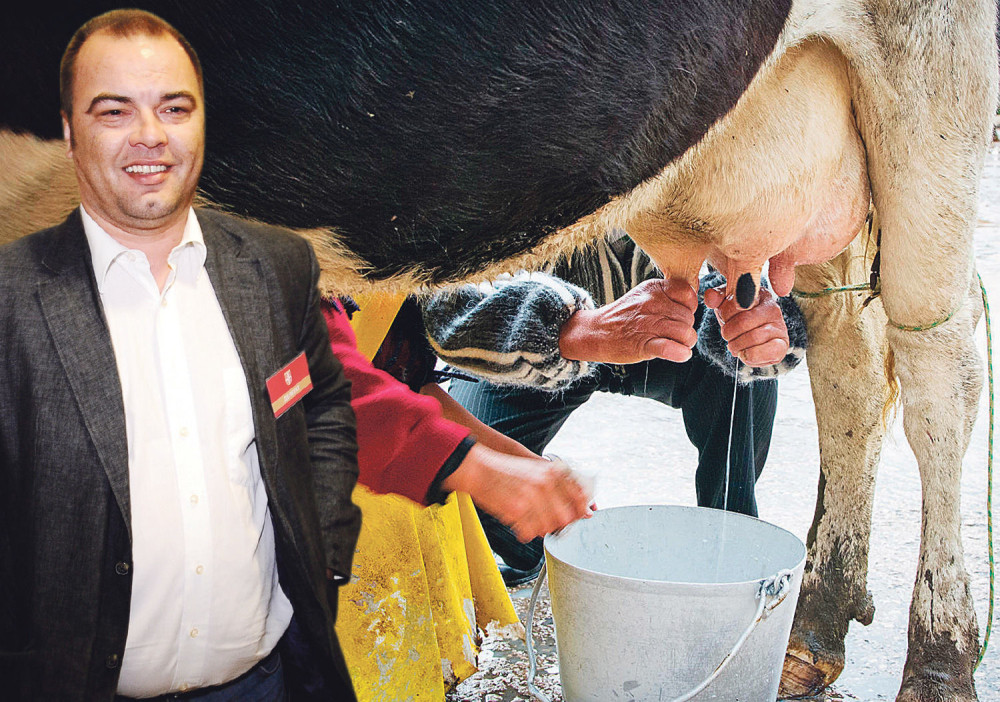 Ješić muze bez dozvole!