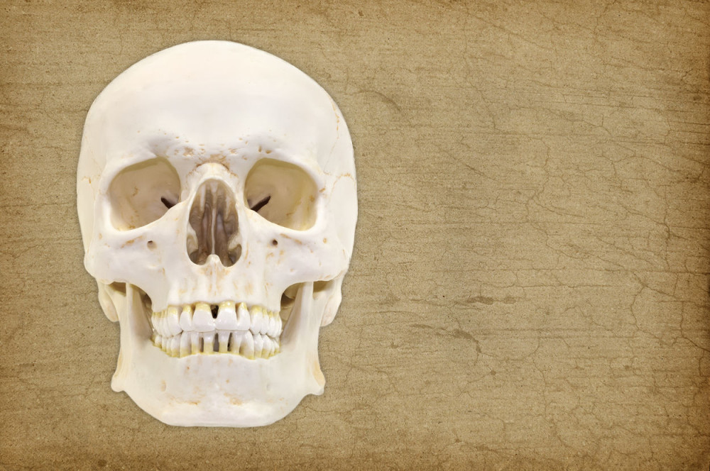 Turista pronašao ljudsku LOBANJU, pa učinio nešto potpuno NEOČEKIVANO!