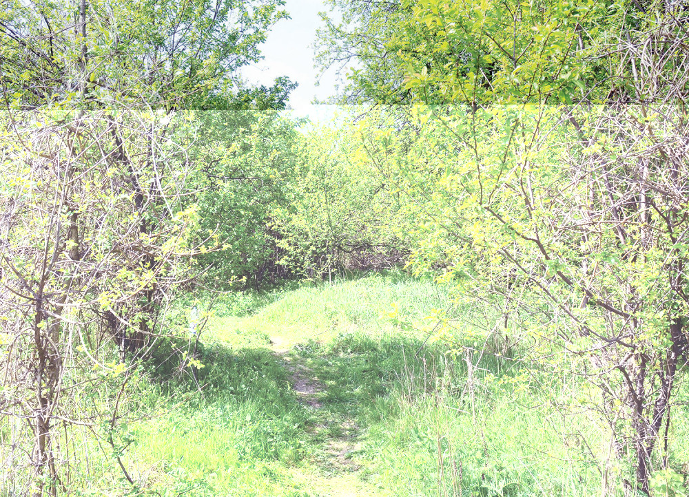 Ostavio ocu oproštajno pismo, pa se obesio