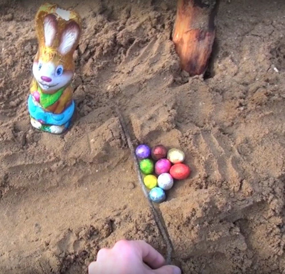 Možete li da predvidite pobednika ove trke? (VIDEO)