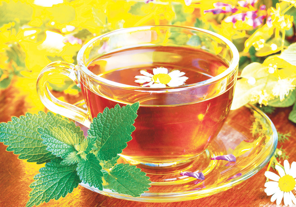 Leči DIJAREJU i ZARAZNE BOLESTI, ali budite oprezni, evo koliko dana smete da je koristite!