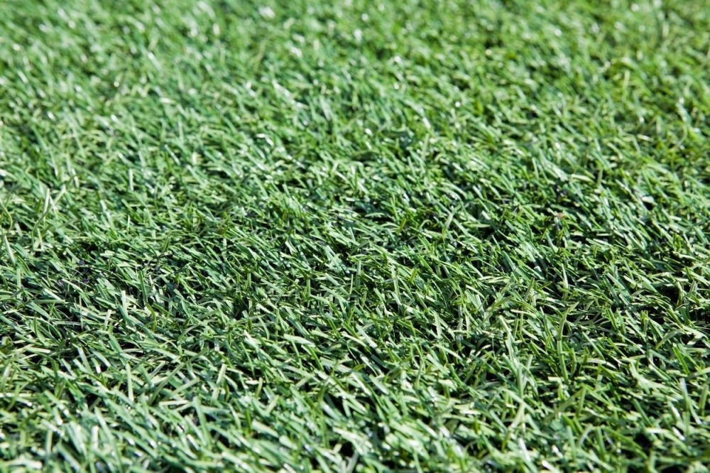 Derbi otkazan zbog penisa na terenu!