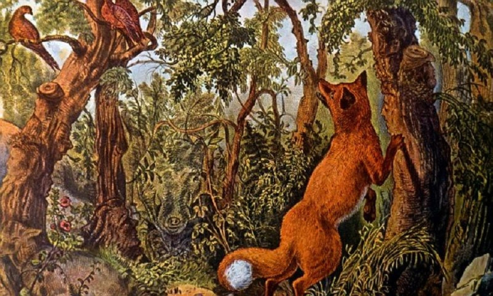 Na ovoj slici ima 16 životinja i lica!