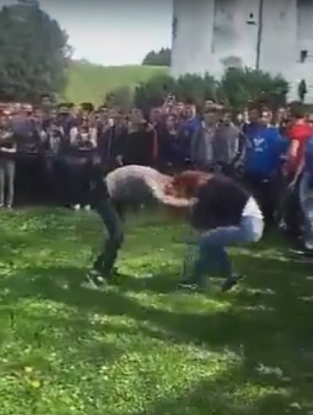 Pet srednjoškolki se divljački tuklo! (VIDEO)