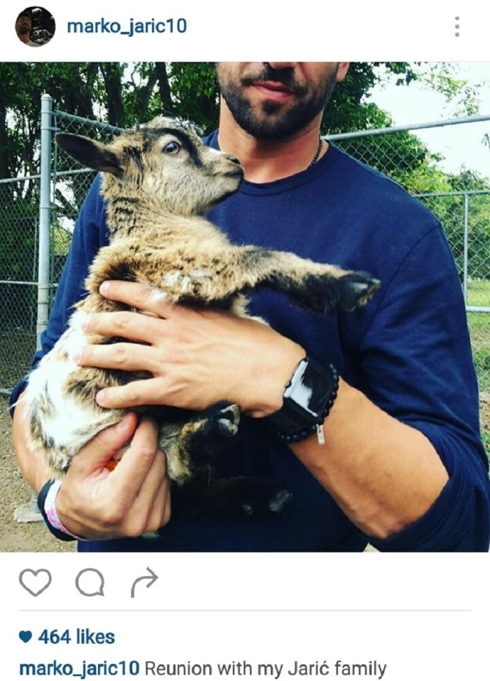 Koji Jarić je slađi?