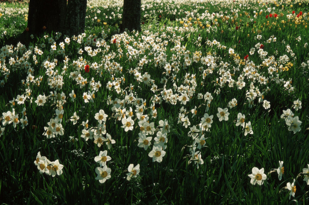Evo kada će sunce opet granuti