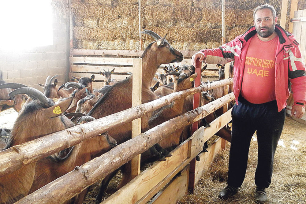 Vučiću, ministarka mi ne da pare za jariće!