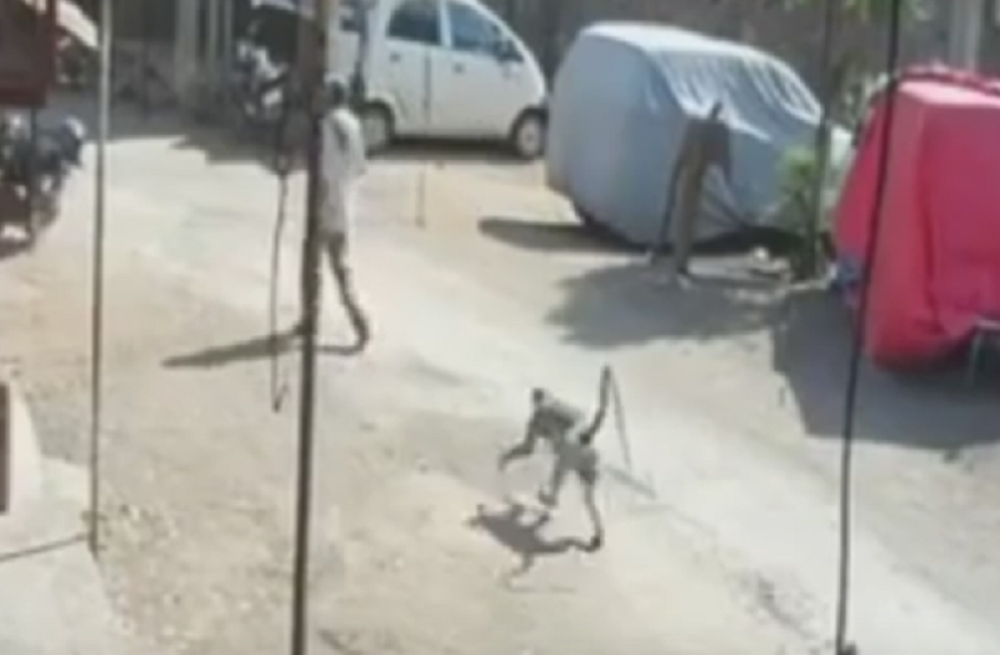 Majmun oborio čoveka iz čista mira (VIDEO)