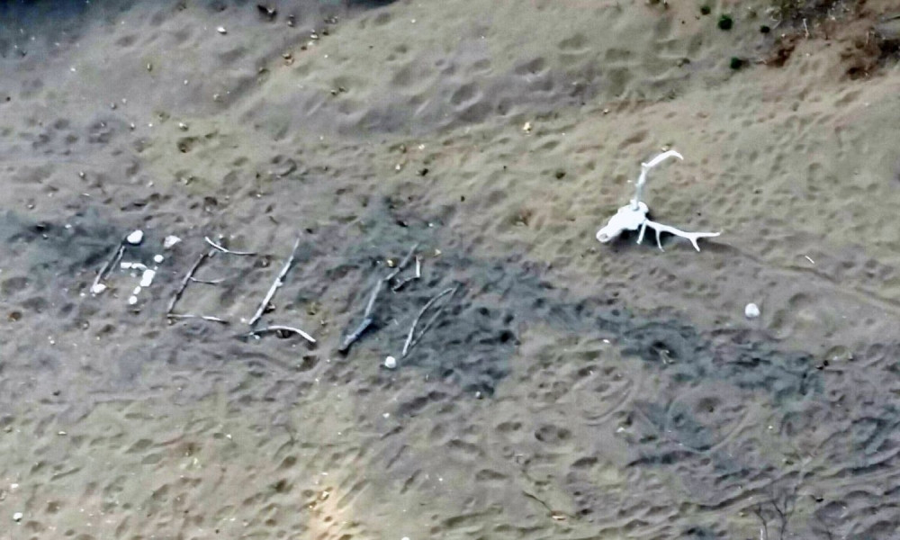 Baka se izgubila u divljini i preživela