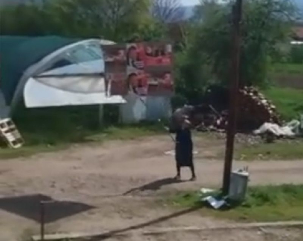 Baba kosom cepa transparente (VIDEO)