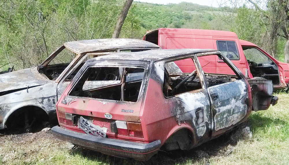 Palio automobile, hteo i brata i oca!