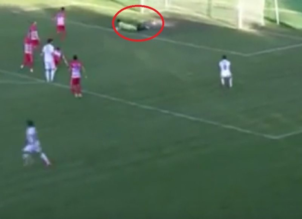 Golman Borca primio urnebesan gol (VIDEO)