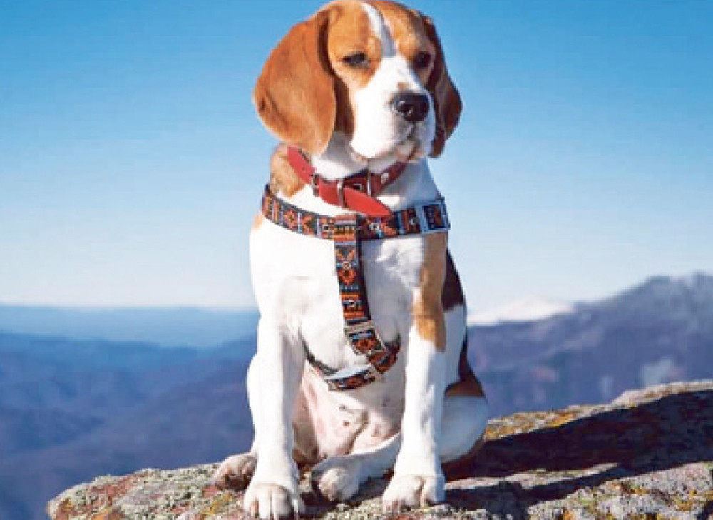 Ovo se desi kada zavolite samoću