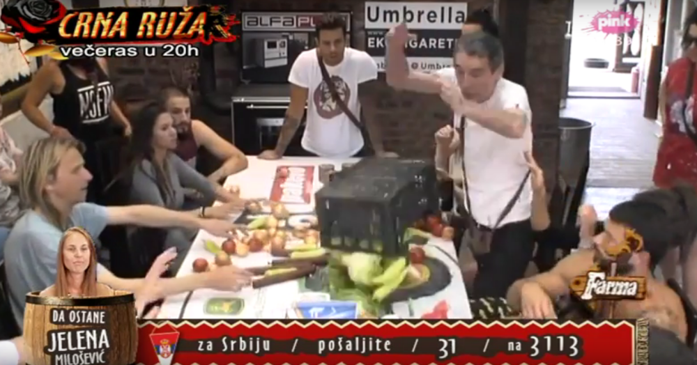 Izabran novi gazda farme! (VIDEO)