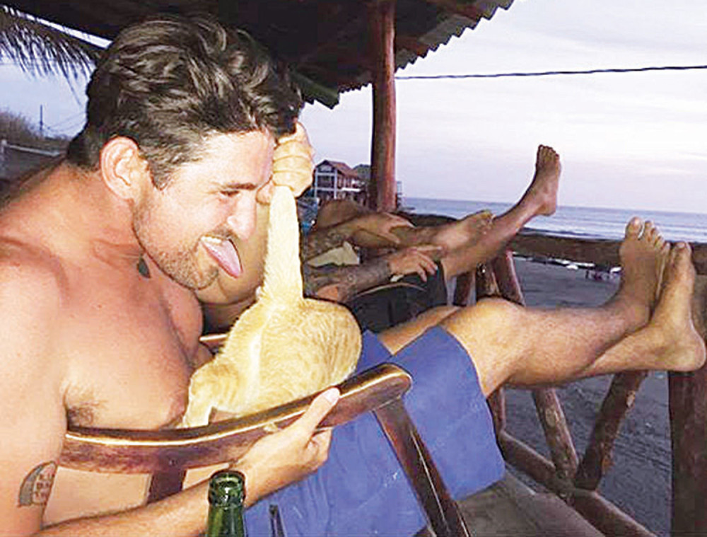 Šta to radiš, prinče?!