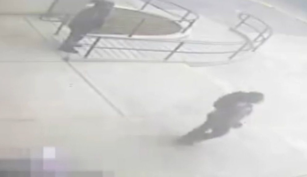 Bezdušnica ukrala torbu sa leša (VIDEO)