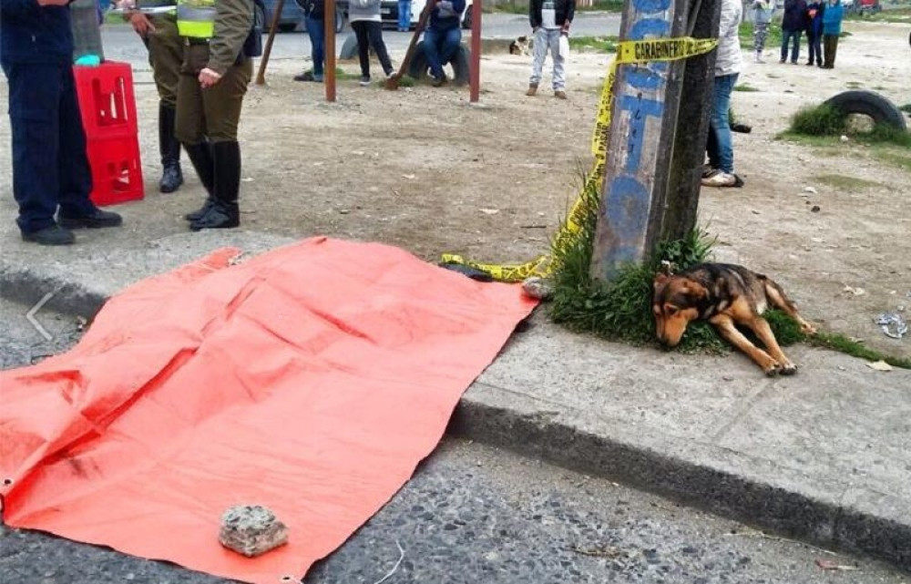 Tužni pas rasplakao svet (VIDEO)