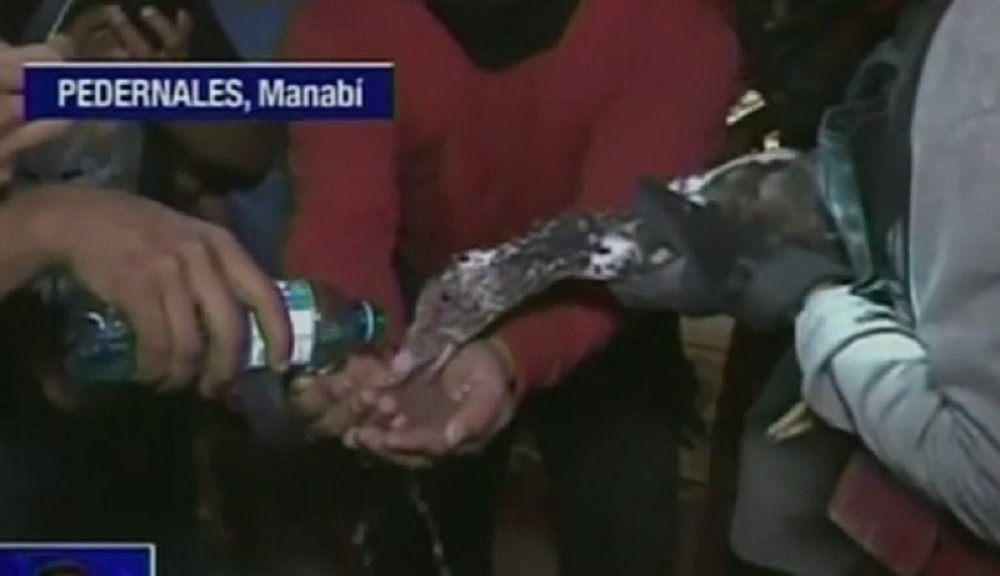 Patka preživela pet dana pod ruševinama (VIDEO)