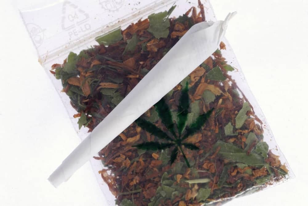 Otkrivena laboratorija kanabisa u Beogradu