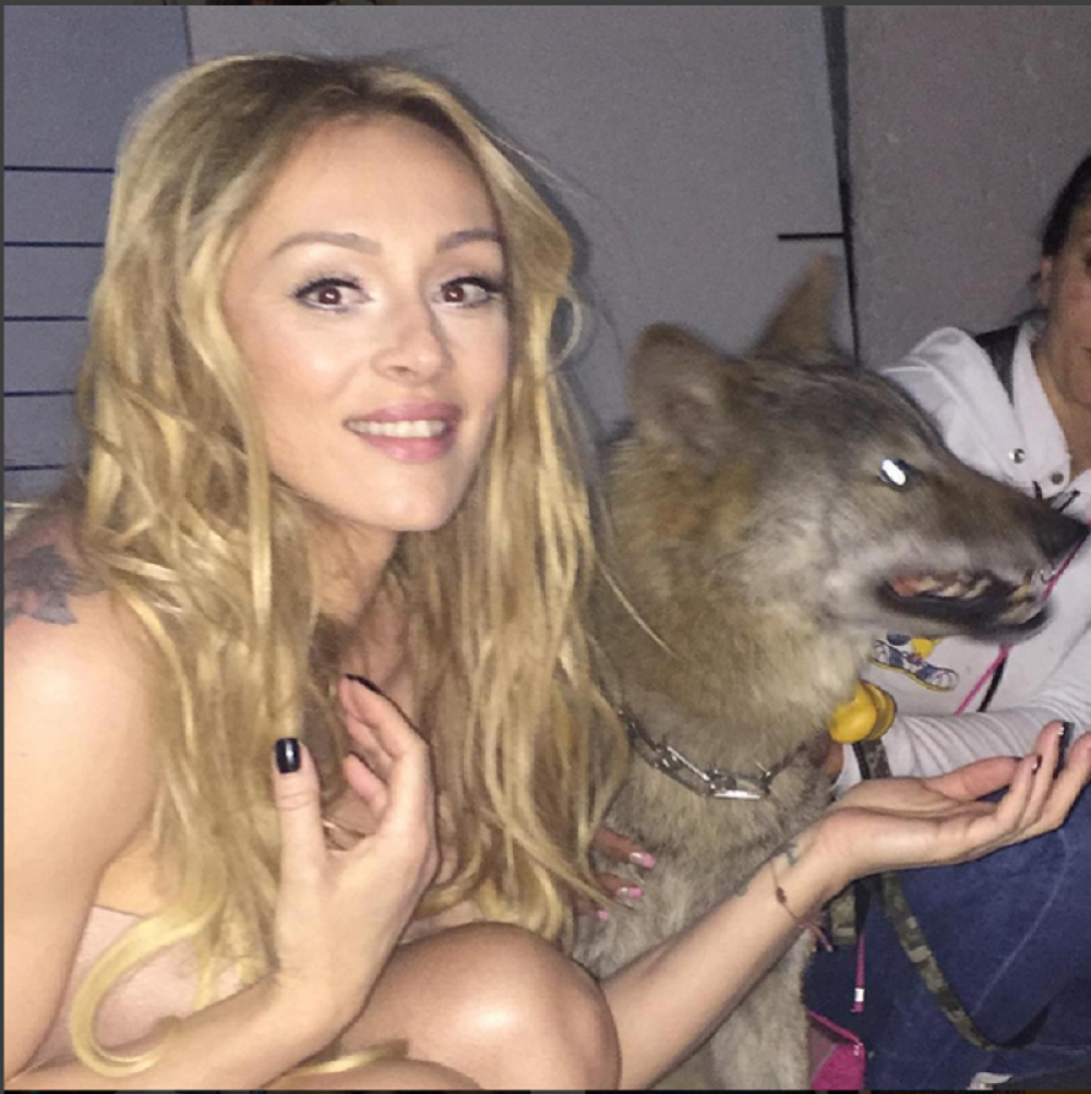 Anabela snima spot sa Tanjinim vukom!