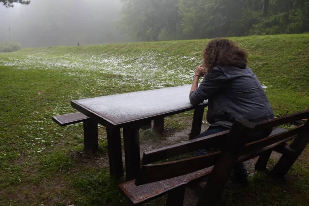 Pao sneg na Fruškoj gori (FOTO)
