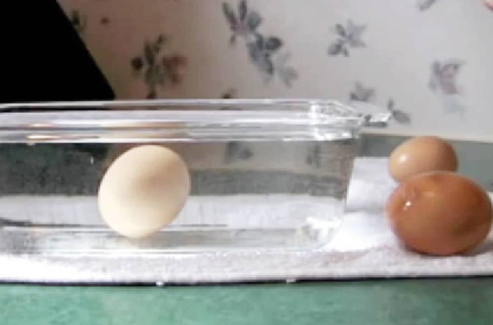 Proverite koliko su stara jaja koja ste kupili