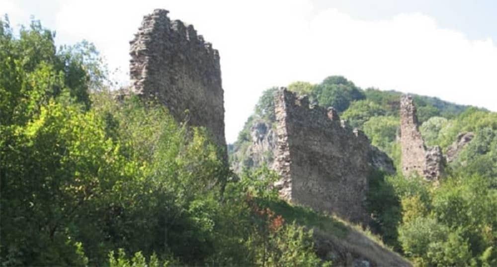 Ugljenisano telo u Vranju