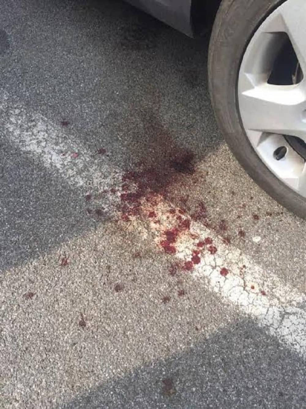 FK Partizan osudio napad na Vazuru