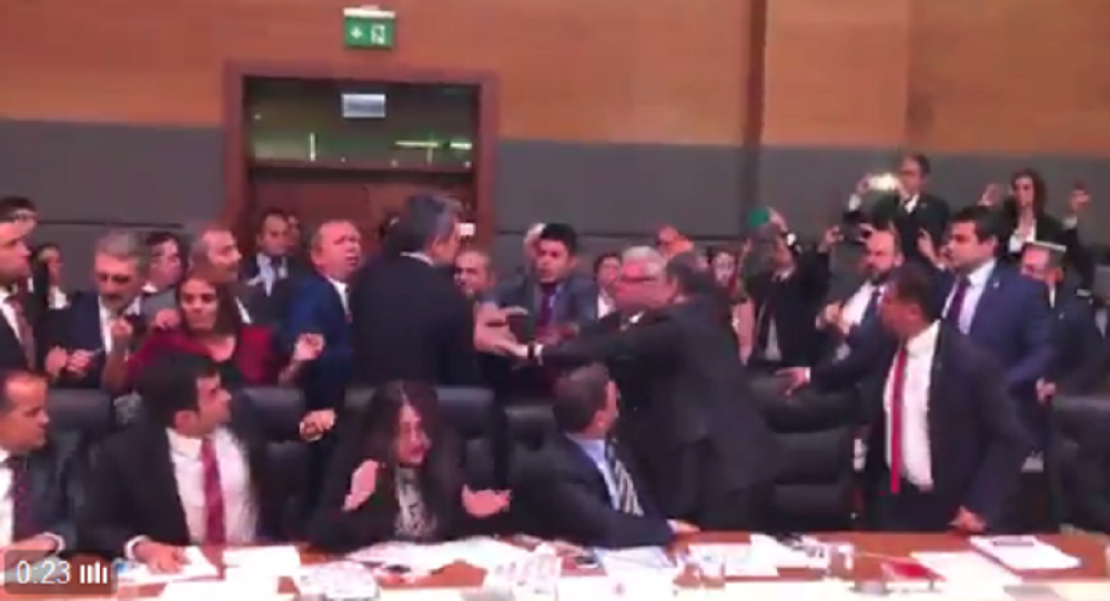 Ponovo tuča u parlamentu! (VIDEO)