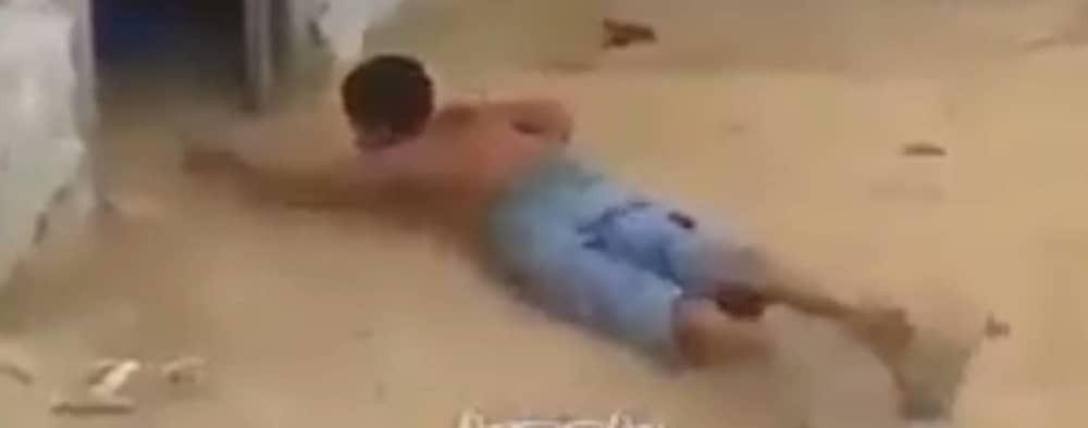 Ova "ljuta borba" će vas pošteno nasmejati! (VIDEO)