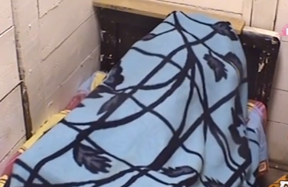 Filip i Marija Ana u akciji! (VIDEO)