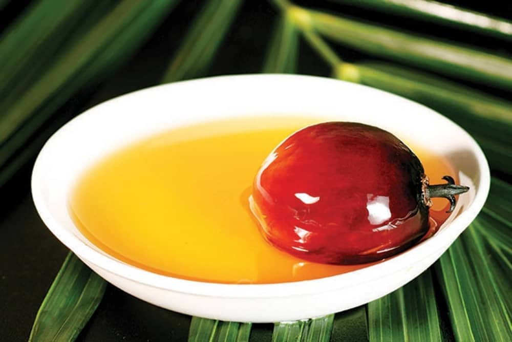 Ispržite šniclu na ulju od palme