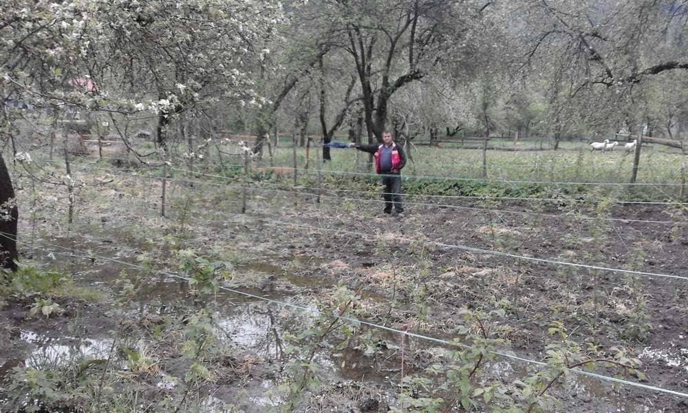 Jošanica opet poplavila oranice