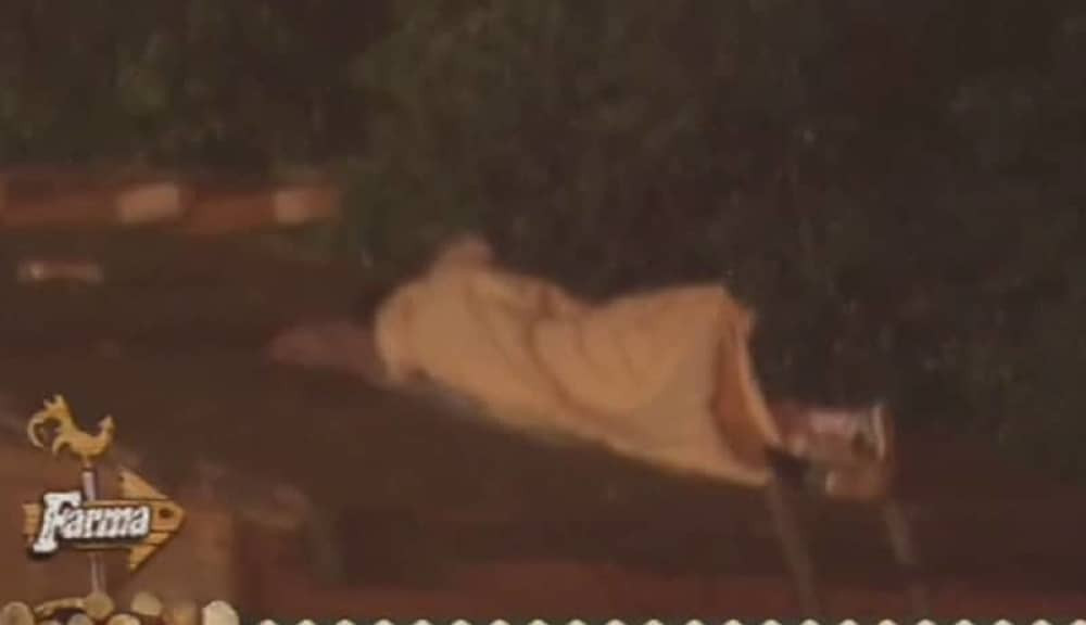 Filip i Marija Ana imali seks na krovu (VIDEO)