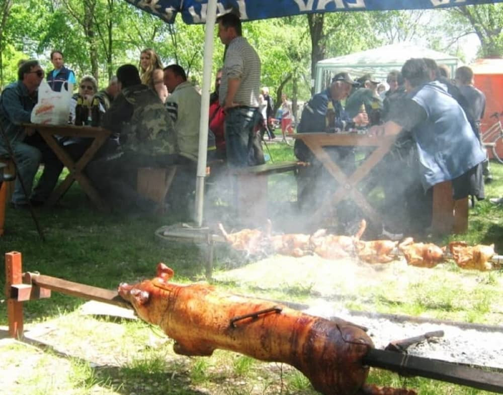 Uzimali praseće pečenje na festivalu u Senti