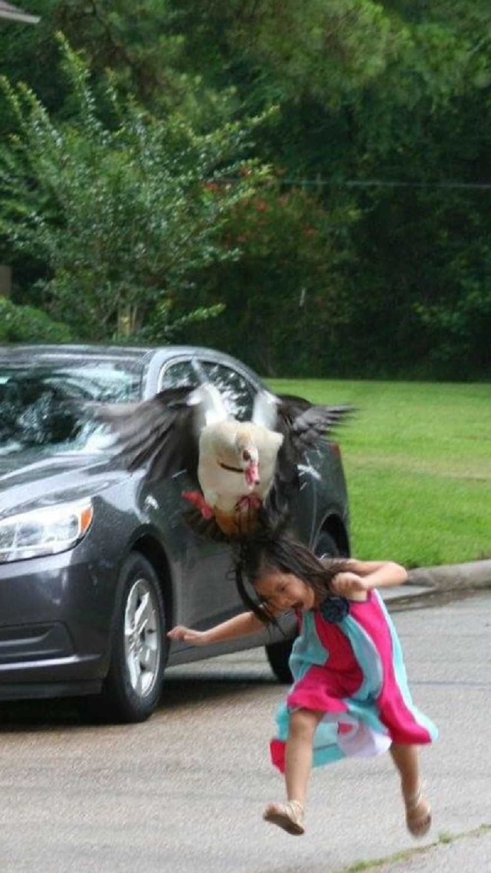 Guska napala devojčicu! (FOTO)