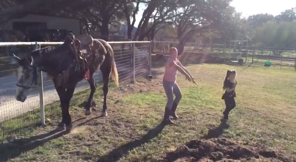 Konjić đuska sa devojčicama! (VIDEO)