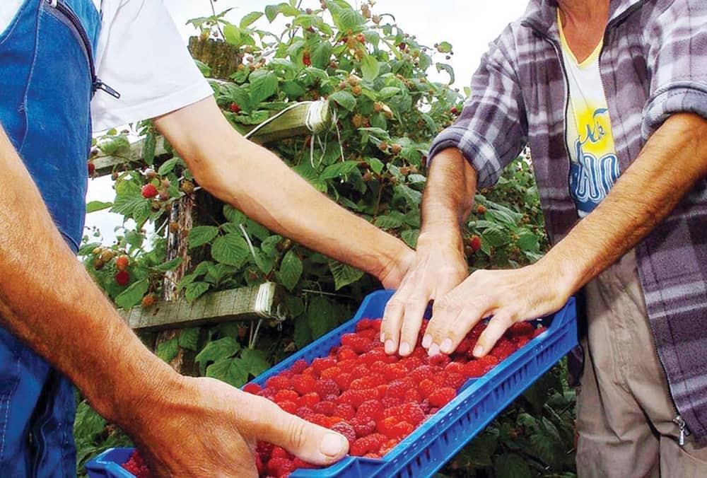 Malinari odustali od protesta