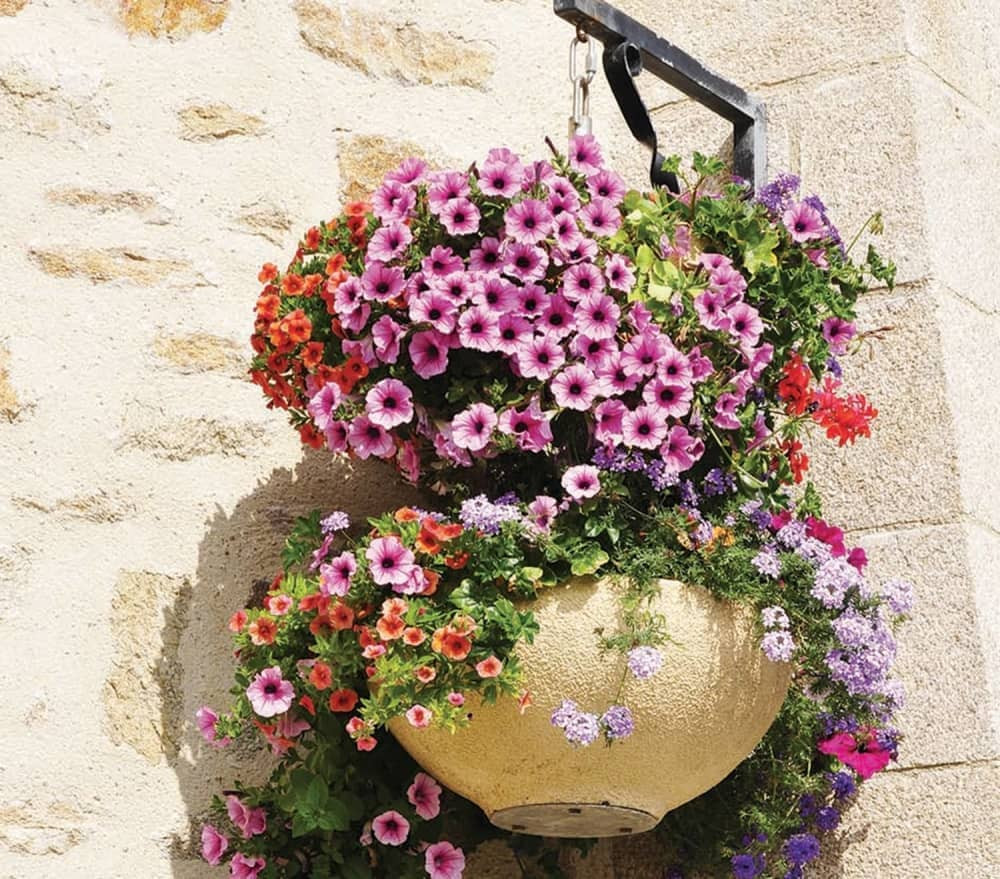 Izaberite idealno cveće za sunčane, ali i za senovite strane