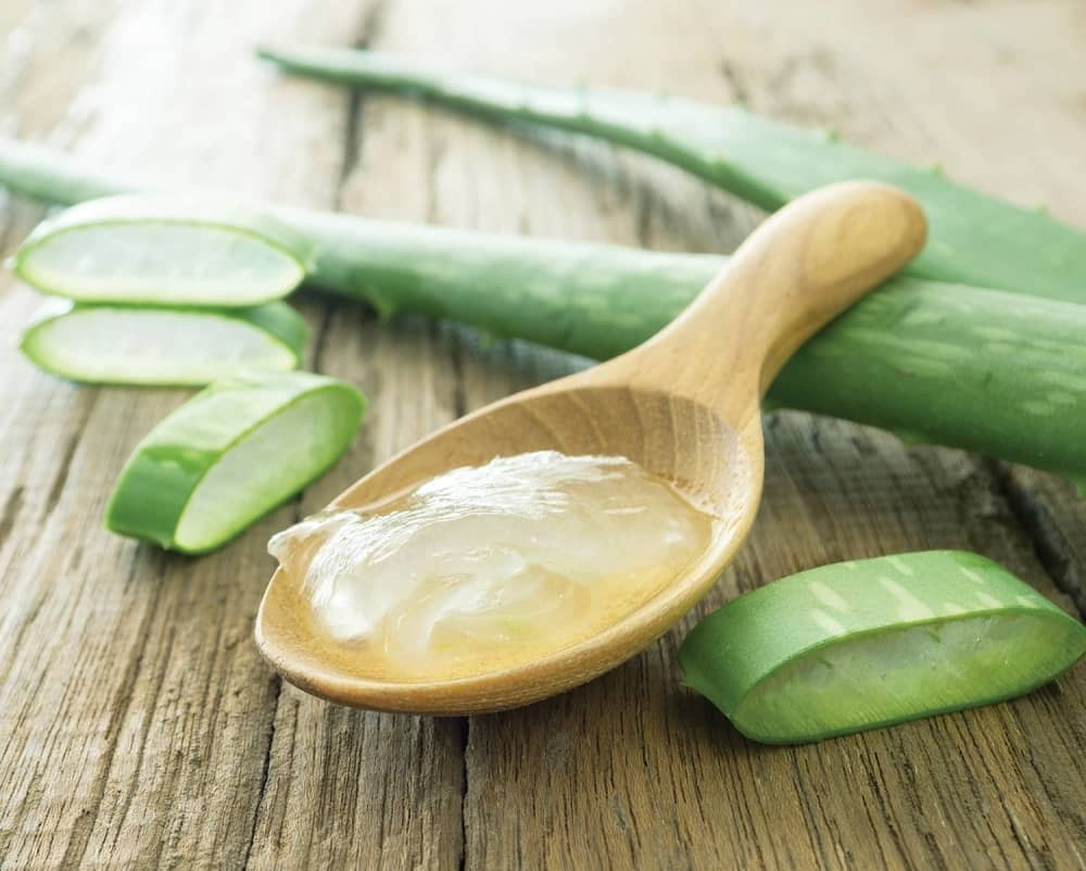 Napravite sami gel Aloje vere koji uništava ćelije raka!