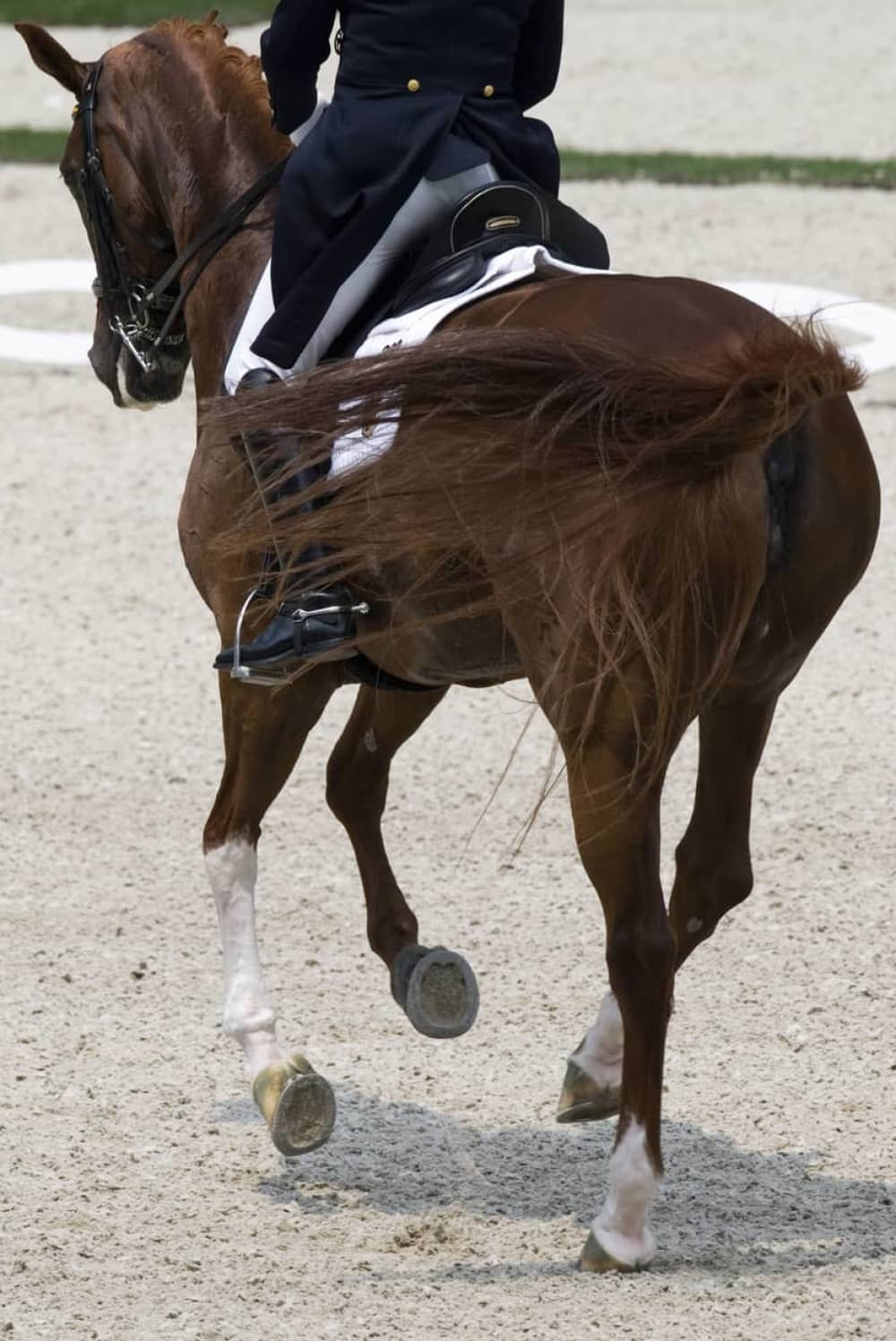 Jahačica pala s konja i poginula