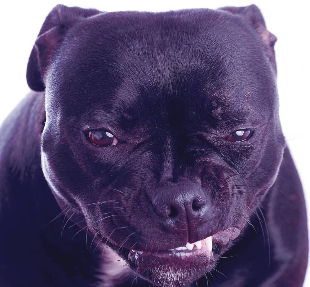 Tamara (10) kod lekara ni suzu nije pustila